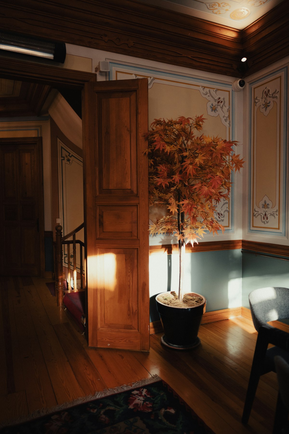 Quiet sitting room with dark walls, a linen armchair and a tall plant